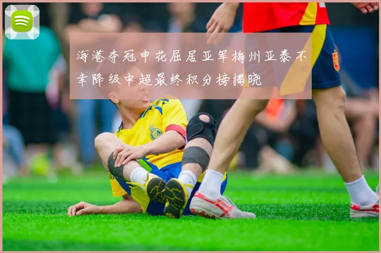 海港夺冠申花屈居亚军梅州亚泰不幸降级中超最终积分榜揭晓