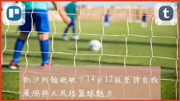 凯沙约翰逊砍下14分12板坚持自我展现热火风格篮球魅力