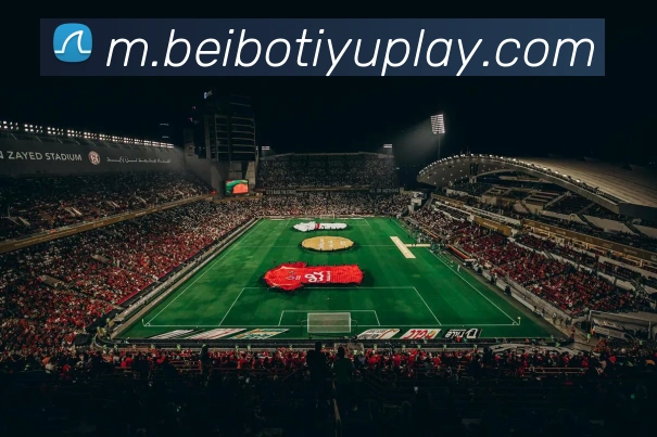 多媒体互动体验