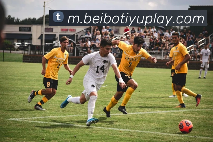 贝博体育APP 高清赛事图